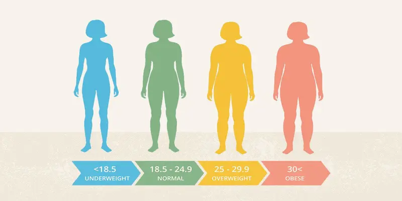 How Your Body Mass Index (BMI) Reflects Your Health